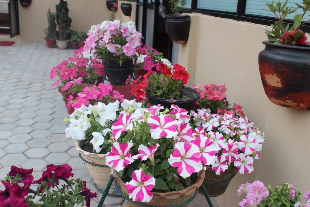 קטמנדו Dipankara Holiday Home מראה חיצוני תמונה